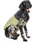 Dog Clothing