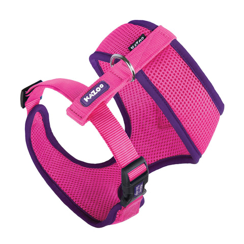 Kazoo Active Soft Walking Dog Harness Bloom Burst