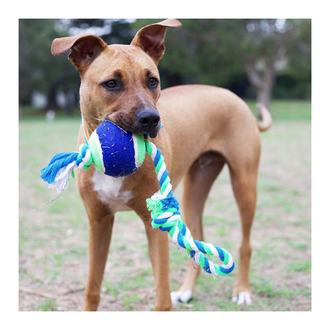 Kazoo Twisted Rope Sling Tennis Ball Dog Toy