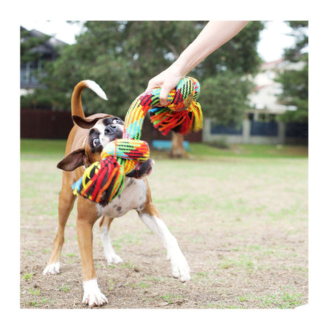 Kazoo Braided Rope Knot Bone Dog Toy