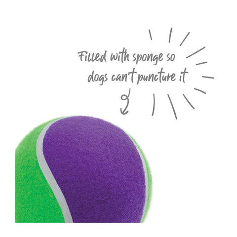 Kazoo Puncture-Proof Tennis Ball Asssorted Dog Toy