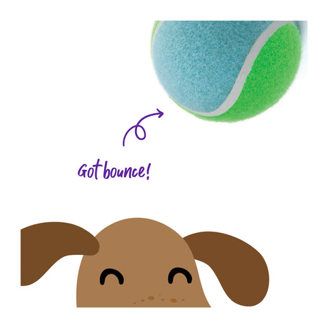 Kazoo Puncture-Proof Tennis Ball Asssorted Dog Toy