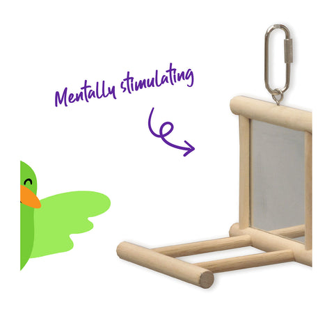 Kazoo Wooden Mirror with Perch Bird Toy Medium