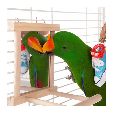 Kazoo Wooden Mirror with Perch Bird Toy Medium