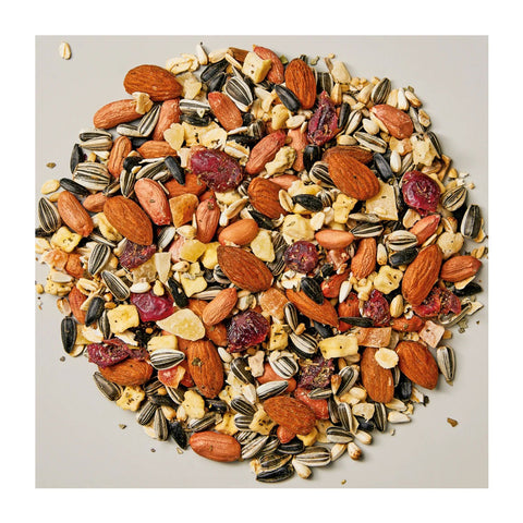 Whistler Large Parrot Fruit, Nut & Herb Blend 1.2kg