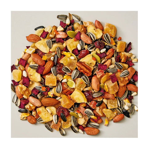 Whistler Exotic Parrot Nut, Vegetable & Fruit Blend 1.2kg