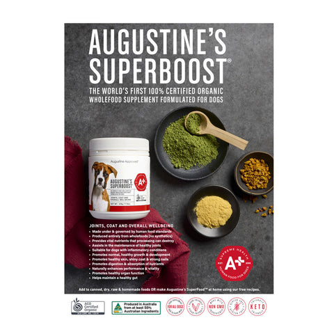 Augustine Approved Augustine's SuperBoost