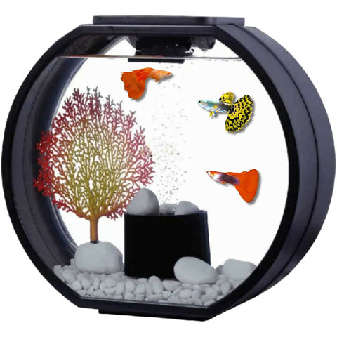 Blue Planet Deco-O Aquarium 20L