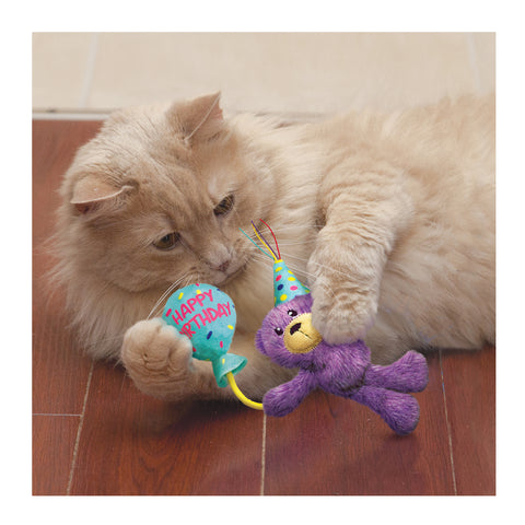 KONG Occasions Birthday Teddy Cat Toy