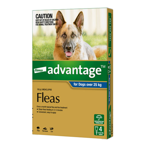 Advantage Flea Treatment for Dogs +25kg