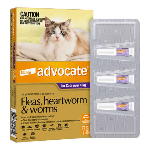 Advocate Flea, Heartworm & Worms for Cats +4kg