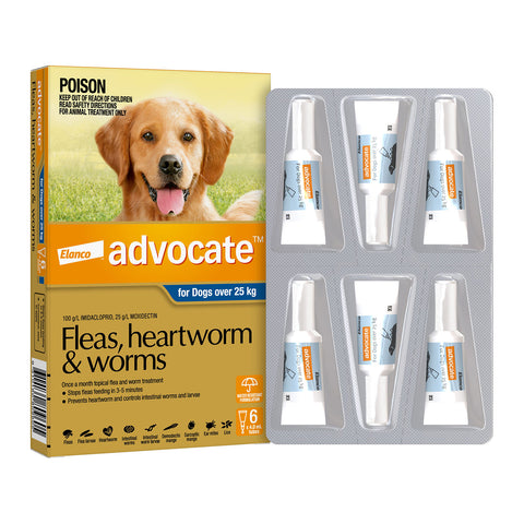 Advocate Flea, Heartworm & Worms for Extra Large Dogs +25kg