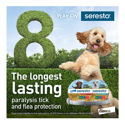 Seresto Flea & Tick Collar for Dogs 8kg+