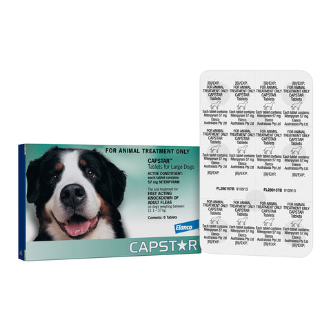 Capstar Flea Treatment for Large Dogs 11.1 - 57kg 6 Pack