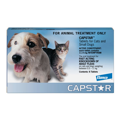 Capstar Flea Treatment for Cats & Small Dogs 0.5 - 11kg 6 Pack