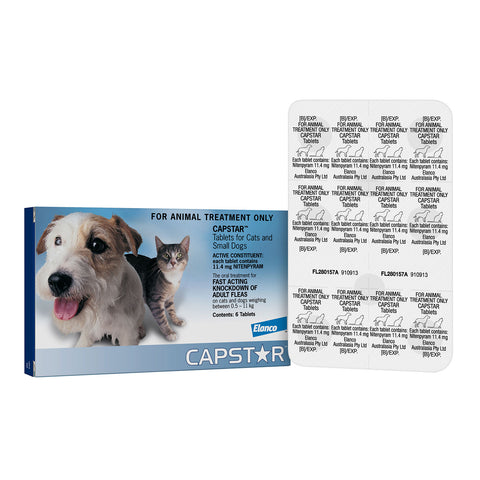 Capstar Flea Treatment for Cats & Small Dogs 0.5 - 11kg 6 Pack