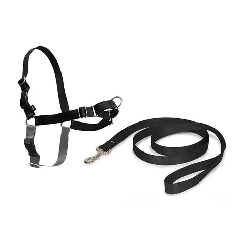 PetSafe Easy Walk Dog Harness and Leash Black