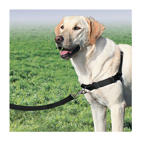 PetSafe Easy Walk Dog Harness and Leash Black