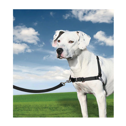 PetSafe Easy Walk Dog Harness and Leash Black