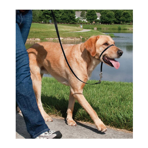 PetSafe Easy Walk Headcollar and Leash Black