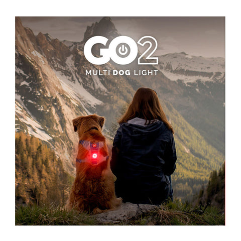 EzyDog GO2 Light