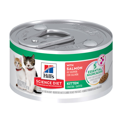 Hills Science Diet Kitten Salmon Canned Cat Food 24 x 82g