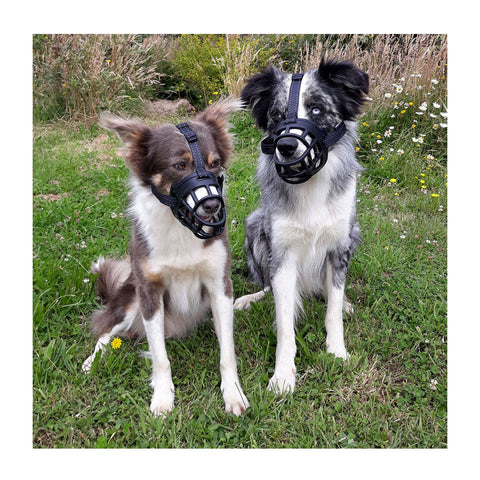 Huskimo Freedom Silicon Dog Muzzle