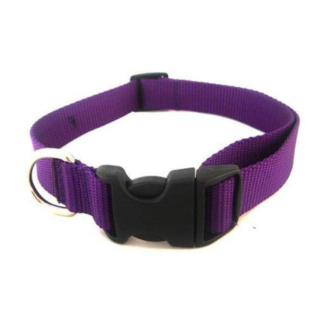 K9 Nylon Webbed Dog Collar