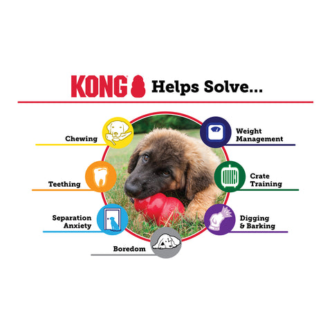 KONG Puppy Dog Toy