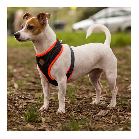 Kazoo Active Soft Walking Dog Harness Slate & Orange