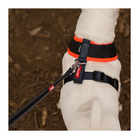 Kazoo Active Soft Walking Dog Harness Slate & Orange