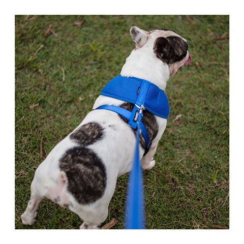 Kazoo Classic Soft Walking Dog Harness Blue