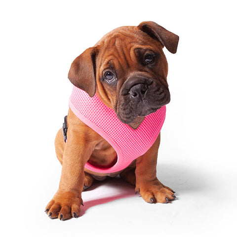 Kazoo Classic Soft Walking Dog Harness Pink