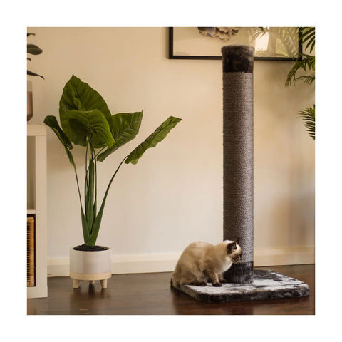 Kazoo Cat Scratch Post Large 112cm