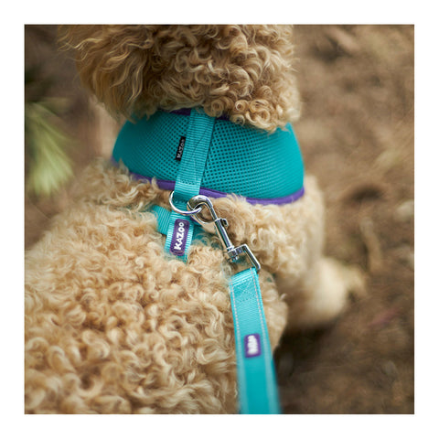 Kazoo Active Dog Lead Aqua & Purple