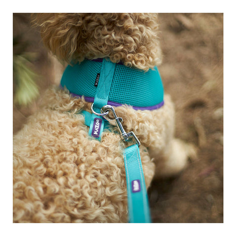 Kazoo Active Soft Walking Dog Harness Aqua & Purple