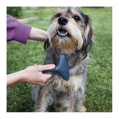 Kazoo Grooming Rake for Dogs