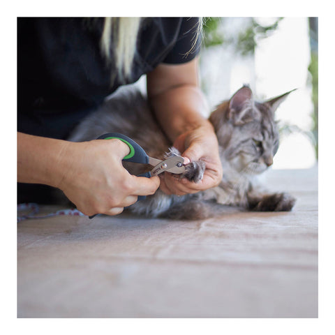 Kazoo Puppy & Cat Nail Clipper