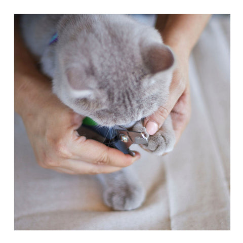 Kazoo Puppy & Cat Nail Clipper