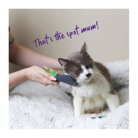 Kazoo Soft Brush for Cats