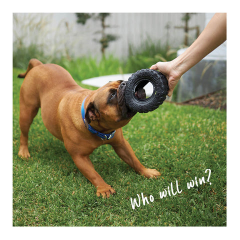 Kazoo Toothy Tyre Dog Toy