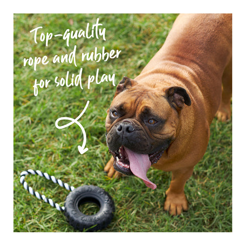 Kazoo Toothy Tug Tyre Dog Toy