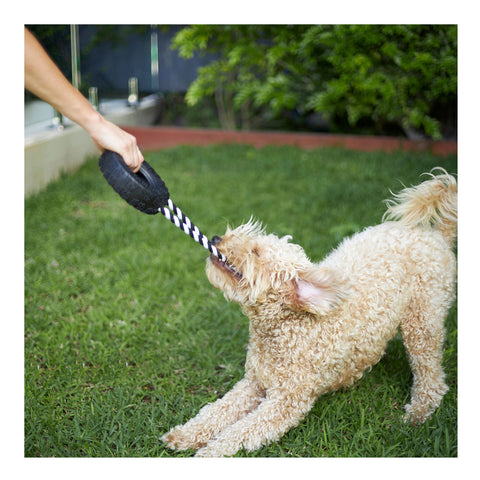 Kazoo Toothy Tug Tyre Dog Toy