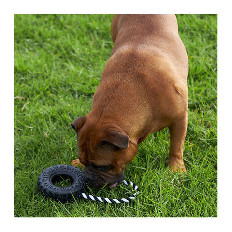 Kazoo Toothy Tug Tyre Dog Toy