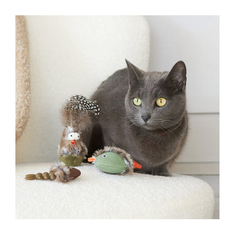 Kazoo Eco-Friendly Squishy fish with Silvervine Cat Toy