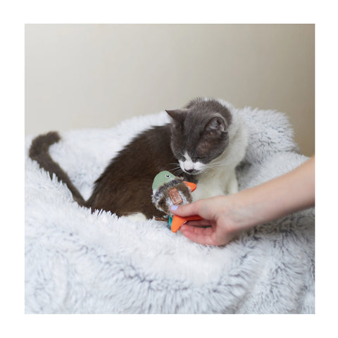 Kazoo Eco-Friendly Squishy fish with Silvervine Cat Toy