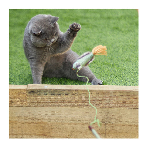 Kazoo Eco-Friendly Bird Wand with Catnip Cat Toy