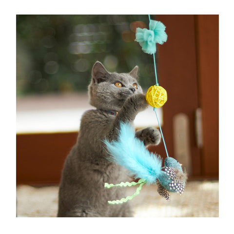 Kazoo Bluebird Chase & Play Wand Cat Toy