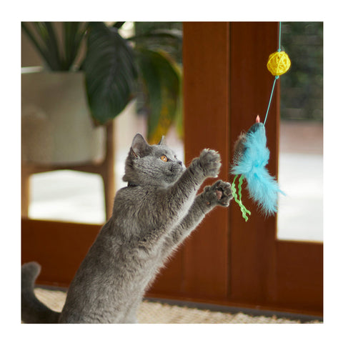 Kazoo Bluebird Chase & Play Wand Cat Toy