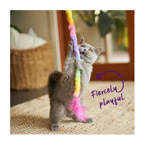 Kazoo Fluffy Rainbow Wand Cat Toy